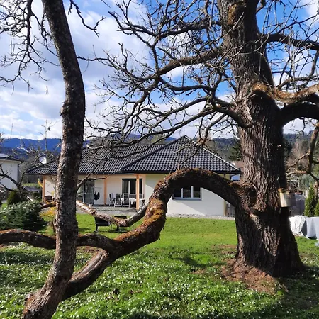 Chalet Damtschach Holiday home *