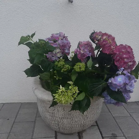 Chalet Damtschach Damtschach