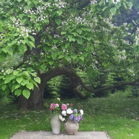 Chalet Damtschach Semesterbostad *