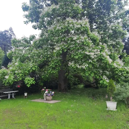 Chalet Damtschach Semesterbostad Damtschach