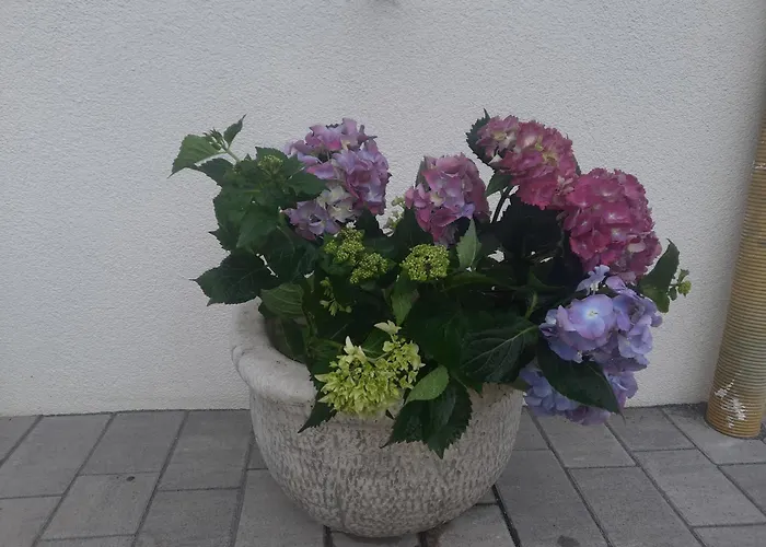 Chalet Damtschach Damtschach