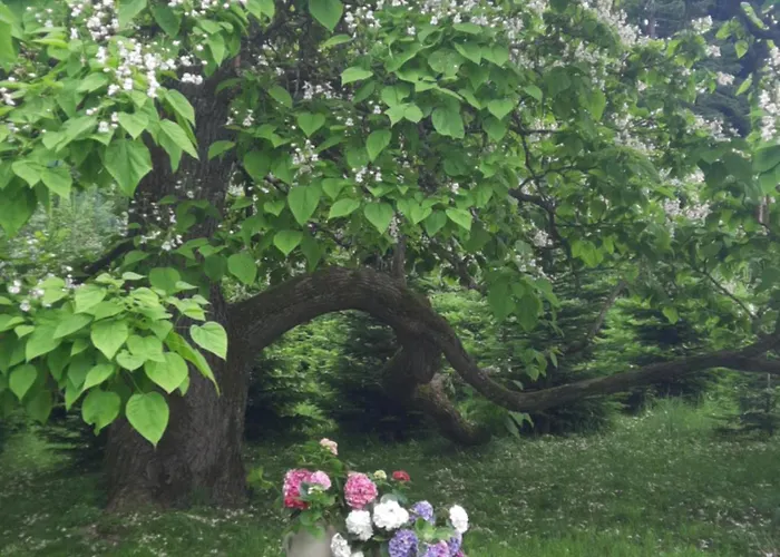 Chalet Damtschach Semesterbostad *