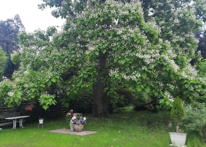 Chalet Damtschach Semesterbostad Damtschach